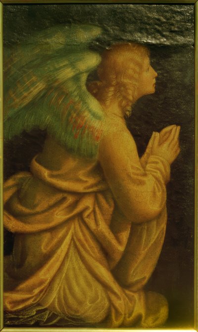 Adoring Angel by Gaudenzio Ferrari